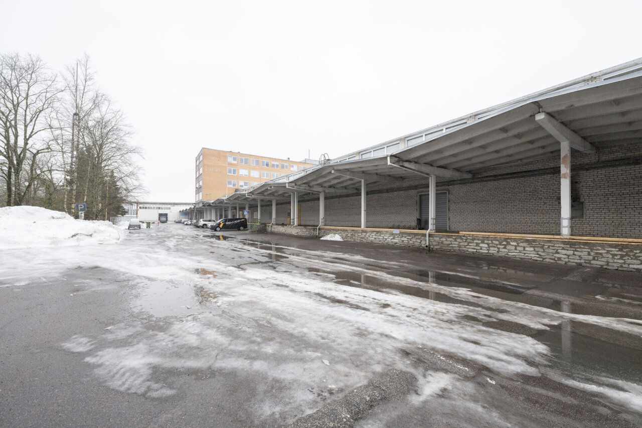 MAHUKAS ÄRIPIND VABANEB JUBA JUUNIS! — Gallery 2